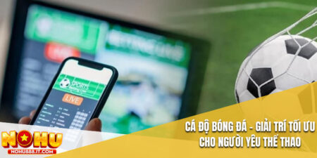 Cá Độ Bóng Đá