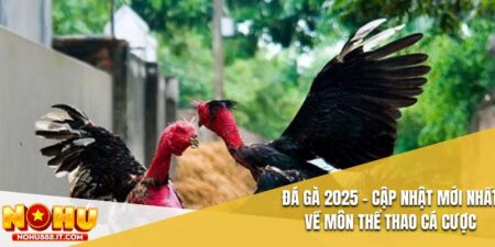 Đá Gà 2025
